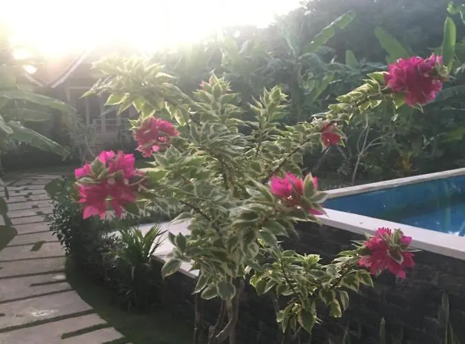 Le Biu Garden View